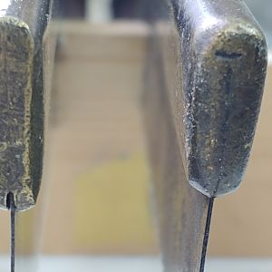 Toes - End View